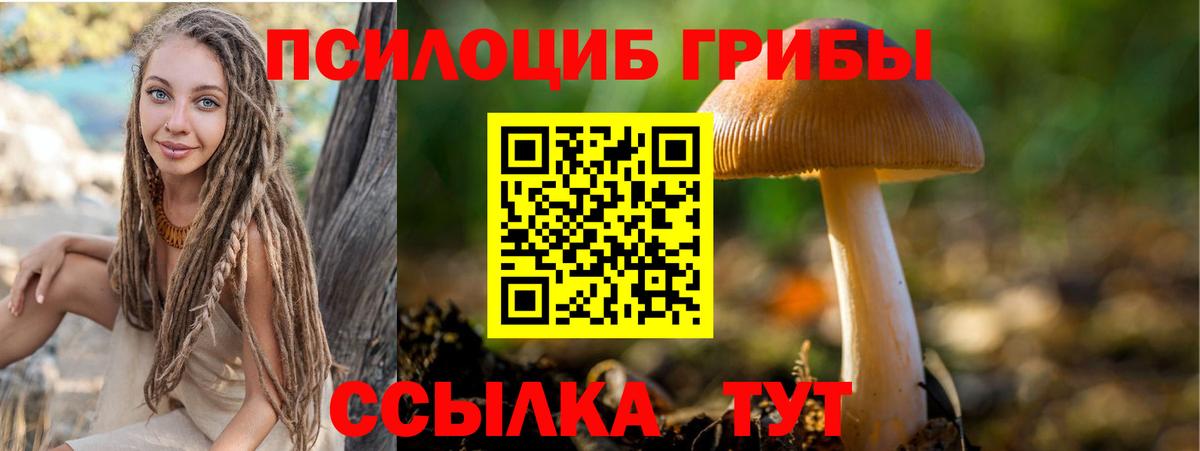 Псилоцибиновые грибы прущие грибы Лыткарино